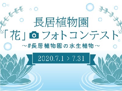 長居植物園「花」フォトコンテスト~#長居植物園の水生植物~