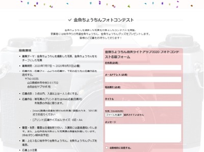 金魚ちょうちん街角ライトアップ フォトコンテスト