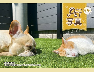 冬号 ブルーボックス無料情報誌の裏表紙募集