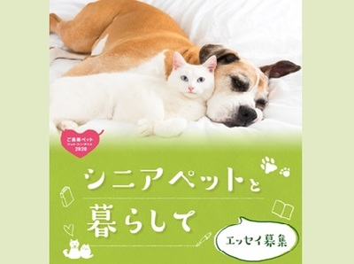 「シニアペットと暮らして」