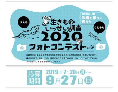 生きものいっせい調査2020フォトコンテストの部