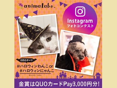 Instagramフォトコンテスト「#ハロウィンわんこ #ハロウィンにゃんこ」
