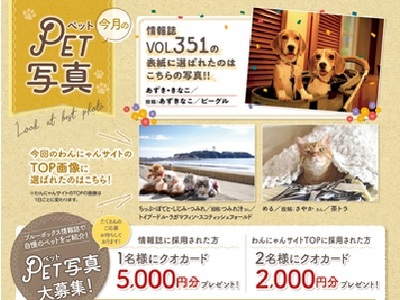 冬号 ブルーボックス無料情報誌表紙募集