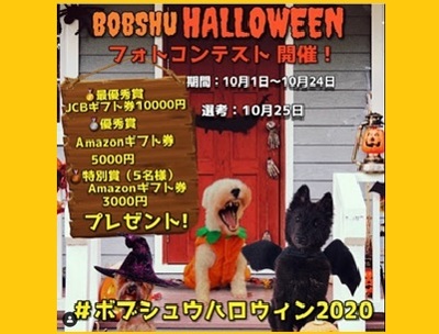 ペットのハロウィン写真コンテスト