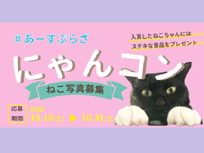#あーすぷらざにゃんコン