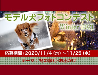 イヌトミィ モデル犬フォトコンテスト Winter 2021