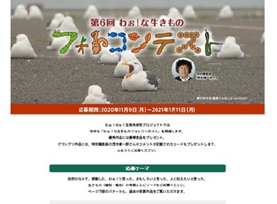 第6回わぉ!な生きものフォトコンテスト