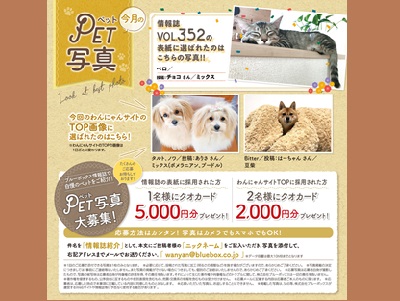 春号 ブルーボックス無料情報誌の表紙募集