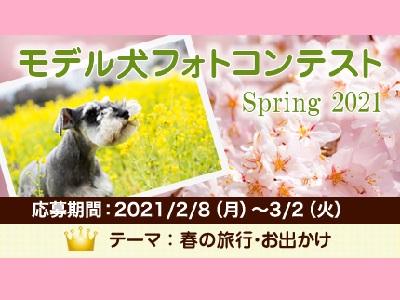 イヌトミィ モデル犬フォトコンテスト Spring 2021