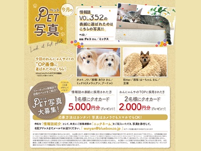 夏号 ブルーボックス無料情報誌の表紙募集