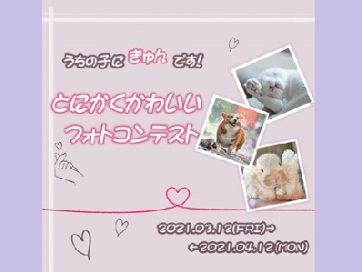 「うちの子にきゅんです!とにかくかわいいフォトコンテスト」大募集中♪