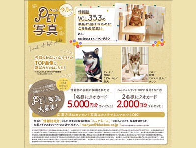 夏号 ブルーボックス無料情報誌の表紙募集