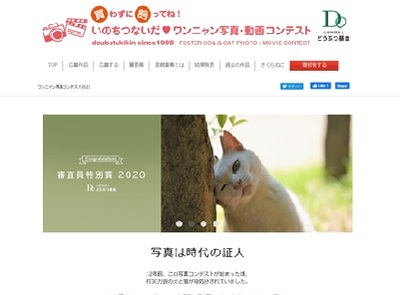 いのちつないだわんにゃん写真・動画コンテスト