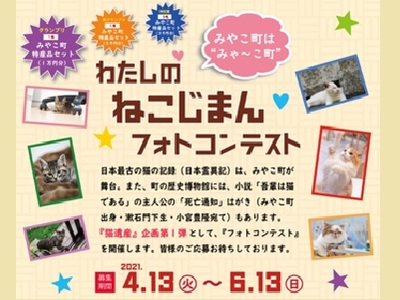 わたしの ねこじまん フォトコンテスト