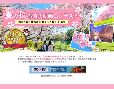 【ホームメイト・リサーチ】春の桜写真・動画コンテスト