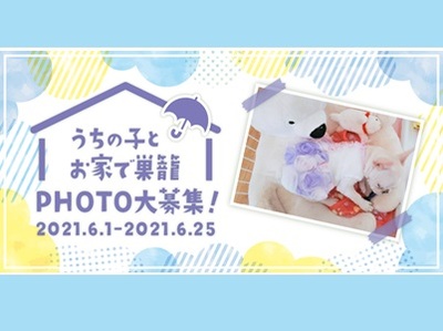 うちの子とお家で巣籠 PHOTO大募集♪