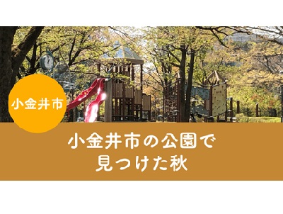小金井市の公園で見つけた秋の写真を募集します!