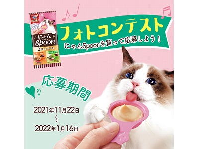 【愛猫がポスターに⁉】豪華景品もGetできる「にゃんスプーン発売記念フォトコンテスト」