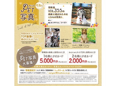 春号 ブルーボックス無料情報誌