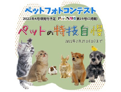 選ばれたらペットの専門店コジマ情報誌に掲載!『ペットの特技自慢』フォトコン開催中