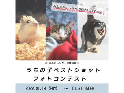 【みんなのペットが2023カレンダーに!】-1月-うちの子ベストショット♪フォトコンテストを開催!