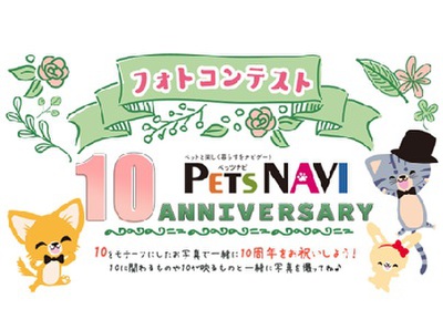 選ばれたらペットの専門店コジマ情報誌に掲載！『PETS NAVI10周年』フォトコン開催中