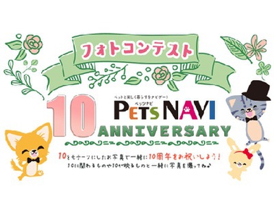 選ばれたらペットの専門店コジマ情報誌に掲載!『PETS NAVI10周年』フォトコン開催中