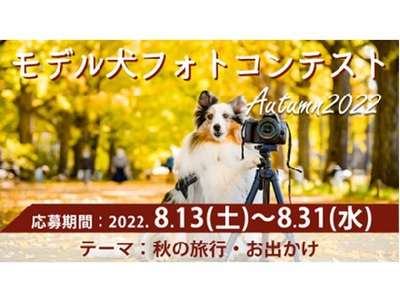 イヌトミィ モデル犬フォトコンテスト Autumn 2022