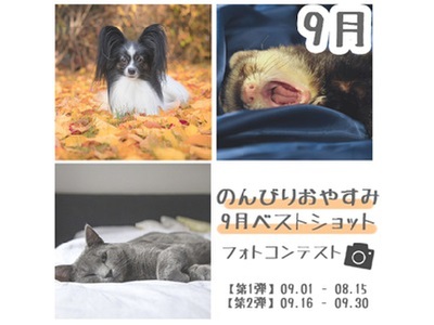 -10月- ハロウィンコスプレ &ベストショットフォトコンテスト