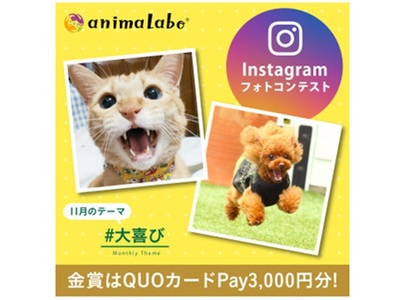Instagramフォトコンテスト「#大喜び」