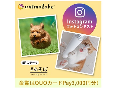 Instagramフォトコンテスト「# あそぼ」