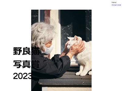 野良猫写真賞2023