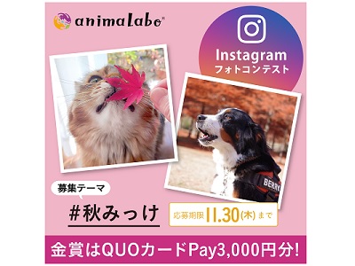Instagramフォトコンテスト「#秋みっけ」